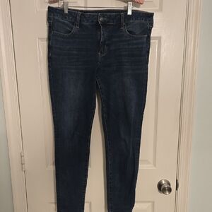 American Eagle Outfitters Navy Skinny Jeans